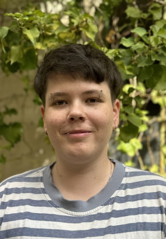 Arbeitskreis Noah &ndash; Verein f&uuml;r Sozialp&auml;dagogik und Jugendtherapien
